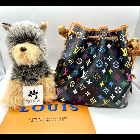 Louis Vuitton Other - Louis Vuitton Bag